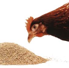 Fertilizer